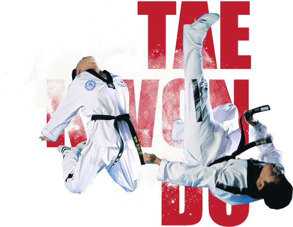 Taekwondo Athlete